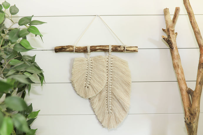 Double Feather Wall Hanging